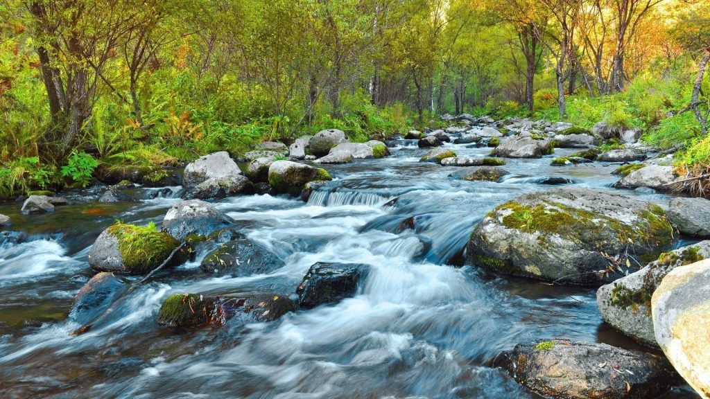 Водопады поток летом прозрачные покрытые водорослями скалы на реке деревья папоротниковый лес природа обои скачать
