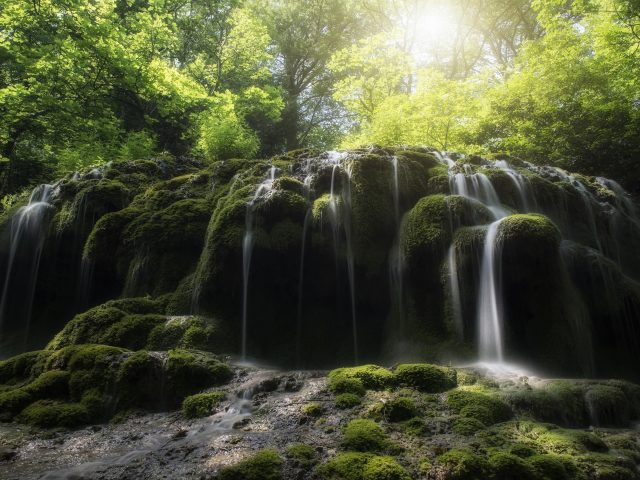 Солнечный свет, проходящий сквозь зеленые листья под зелеными покрытыми скалами водопадом