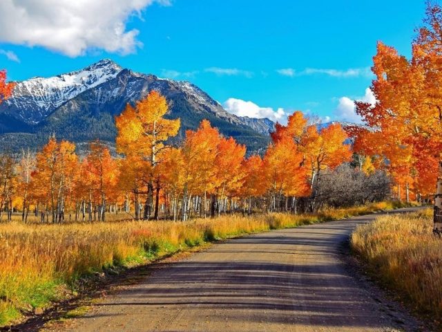 Дорога между желто оранжевыми осенними деревьями и пейзажем белой покрытой горы под белым голубым небом природа