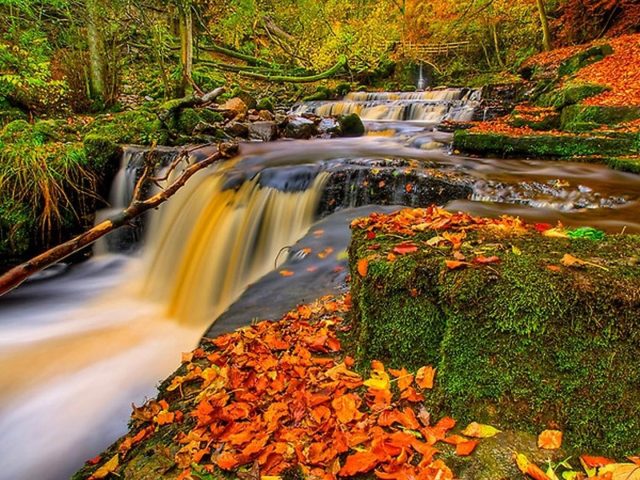 Водопадный ручей между покрытыми водорослями скалами с разноцветными сухими листьями природа