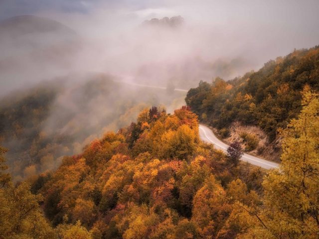 Дорога между осенним туманным лесом и горной природой
