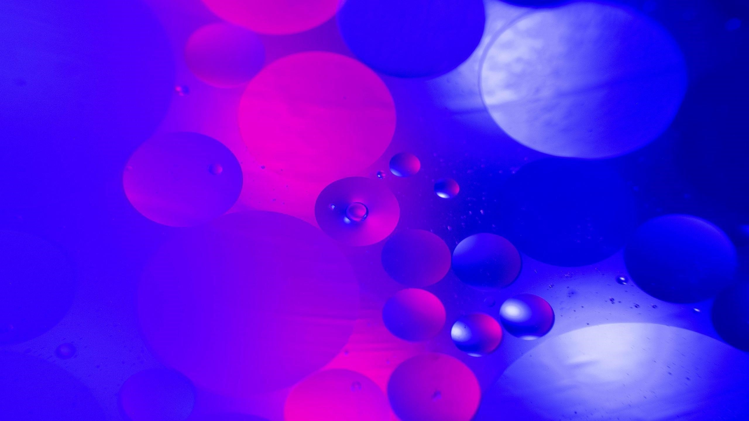 Синие фиолетовые круги пузырьковая вода абстракция обои скачать