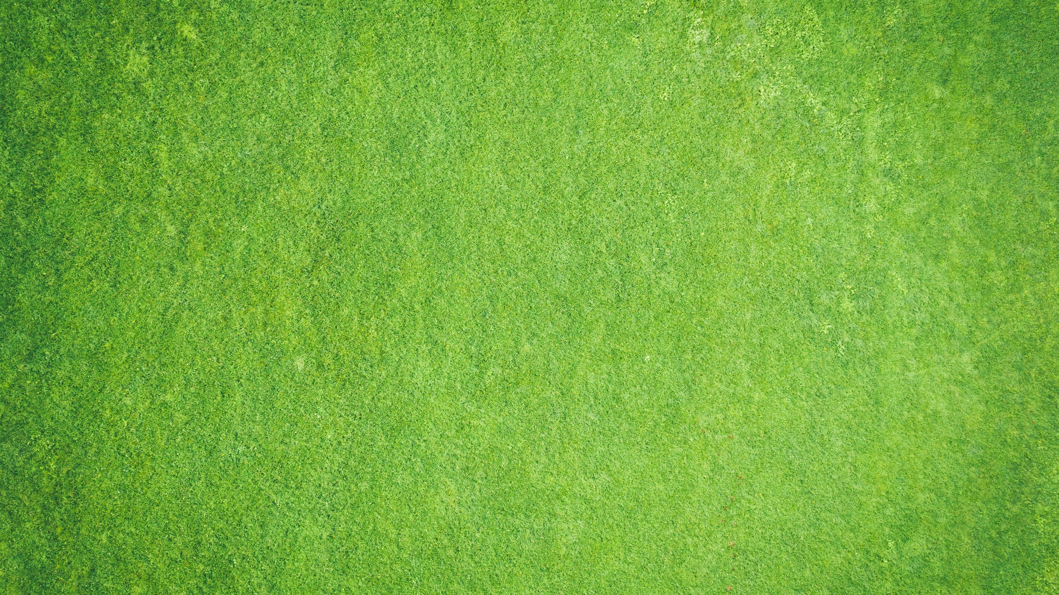 Текстура поверхности зеленая абстракция обои скачать