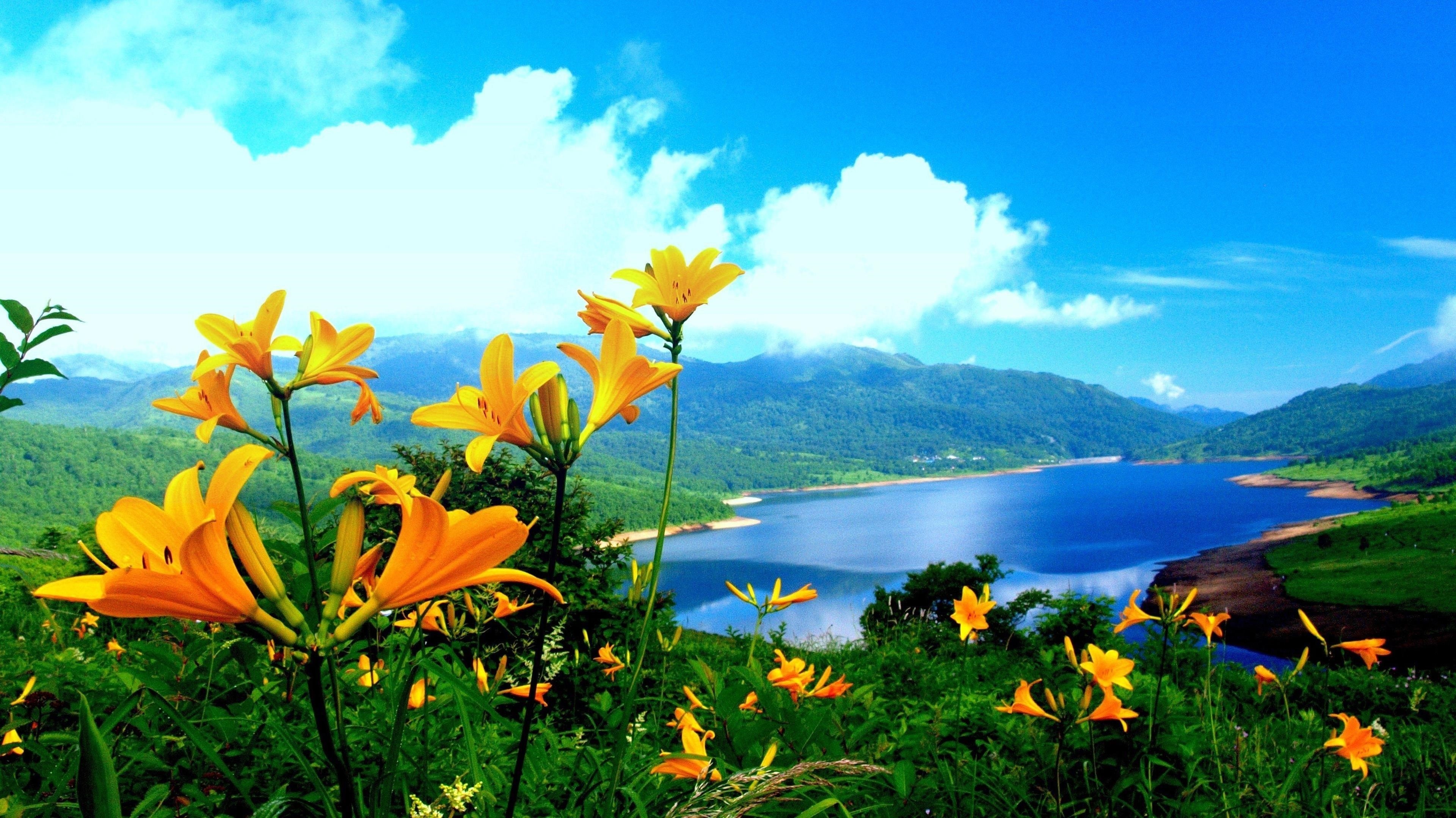 Красивые пейзажи вид на водоем окруженный зелеными деревьями покрытые горы и крупным планом вид желтые цветы растения под голубым небом природа обои скачать