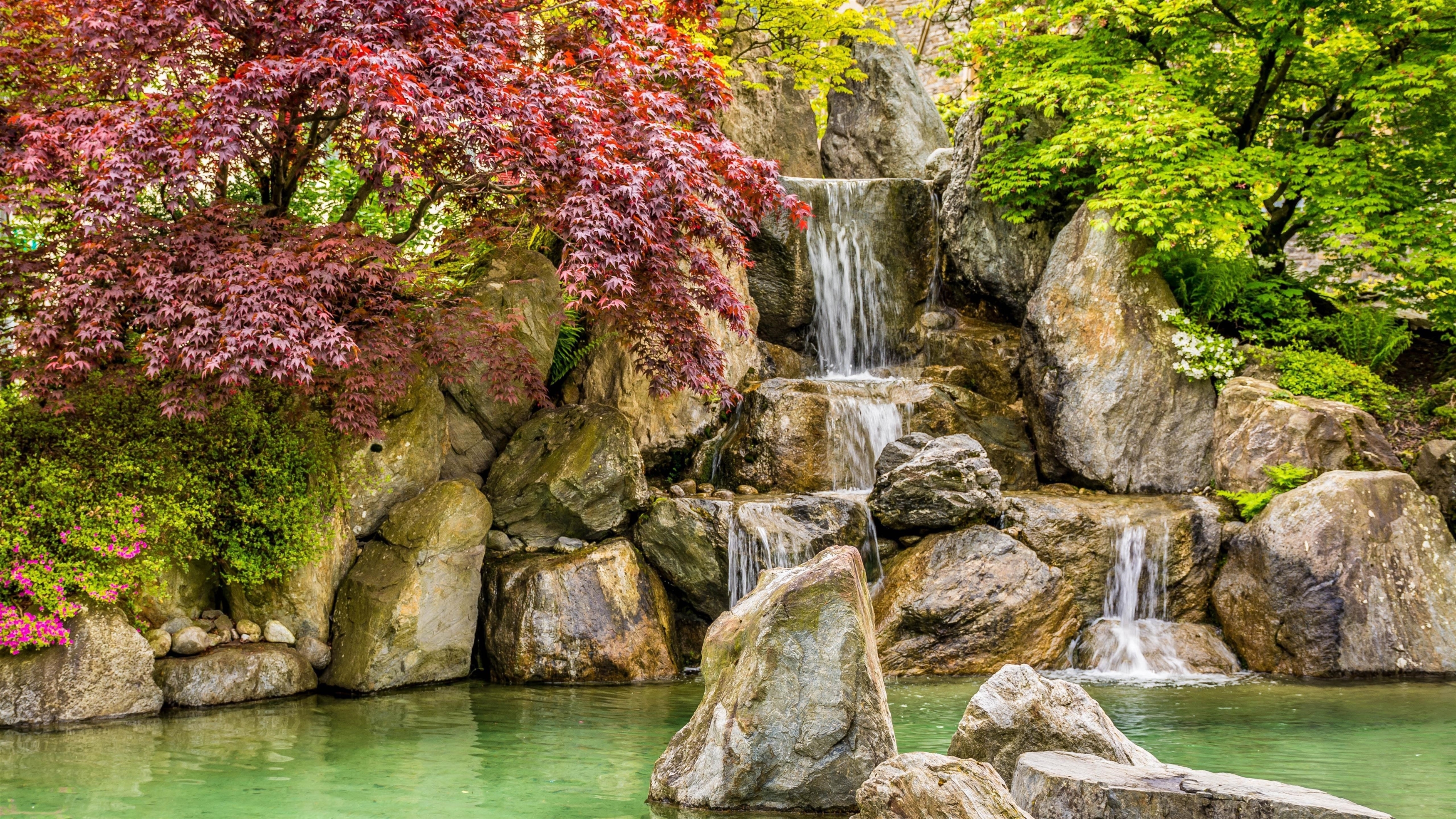 Водопад льется на пруд между красочными осенними деревьями в дневное время природа обои скачать
