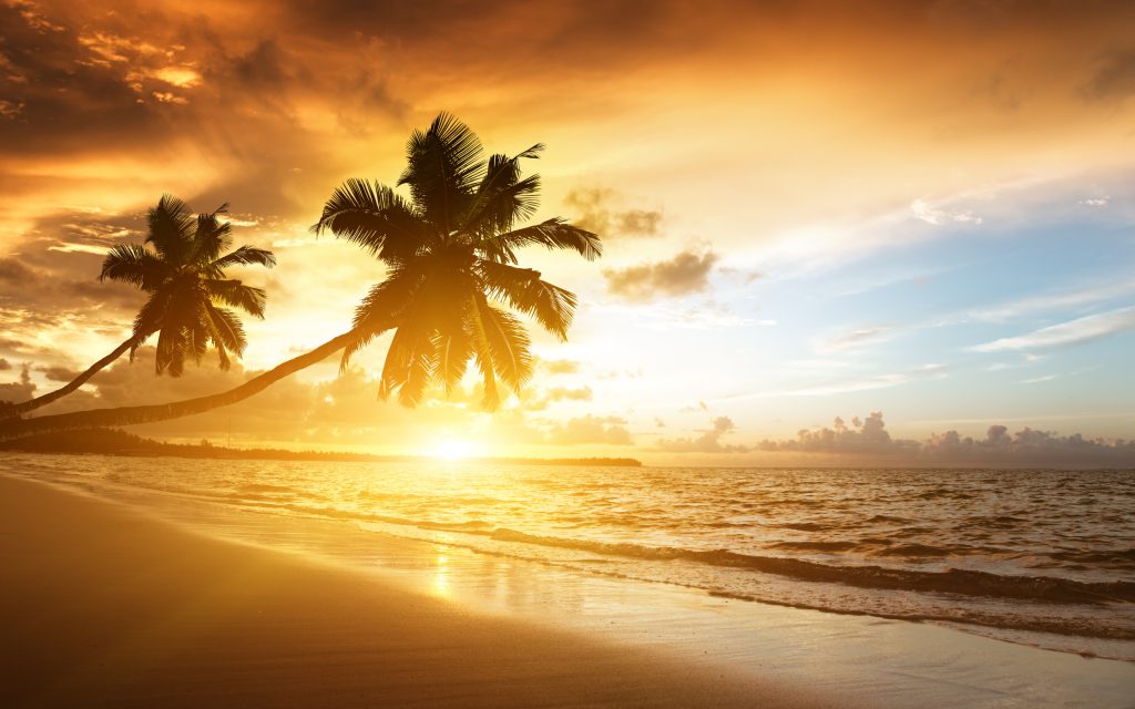 Тропический закат, плача пальма, облачное небо, Карибского бассейна обои скачать