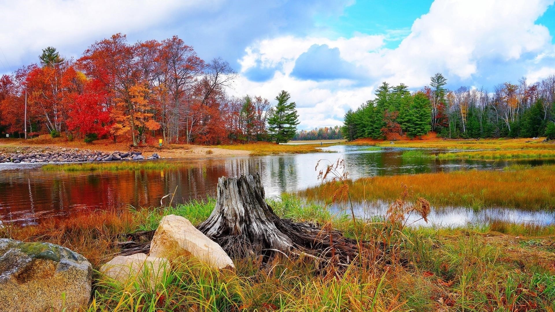 Красочные осенние деревья отражение на озере под облачным голубым небом природа обои скачать
